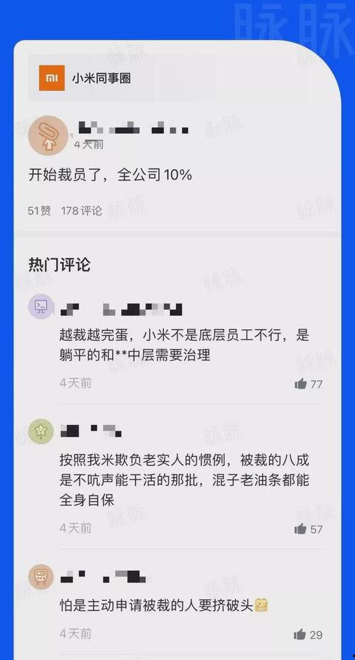 小米员工最新爆料消息,揭秘公司最新动态与未来规划!” 第2张 小米员工最新爆料消息,揭秘公司最新动态与未来规划!” 第2张
